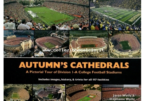 Autumn's Cathedrals