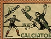 Album Panini campionato calcio italiano