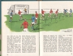 Manuale del Gol