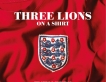 Trhree Lions on a shirt