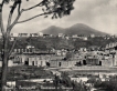 Campania