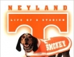 Neyland : Life of a Stadium