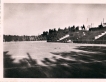 Alger