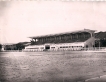 Alger